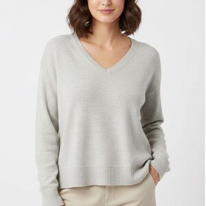 Everlane V-Neck Sweater In Cotton